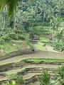 2007 07 17 BALI 0034